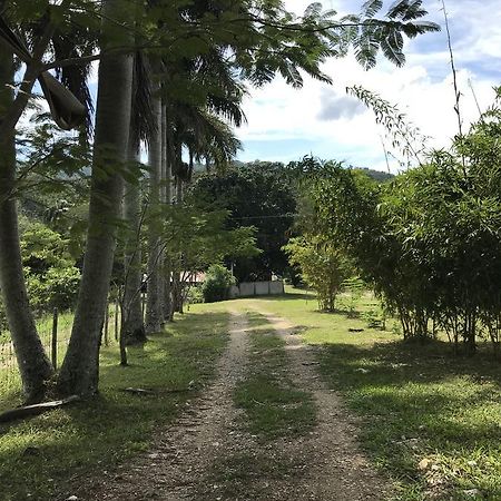 Cabanas Maya Rue Palenque Zewnętrze zdjęcie